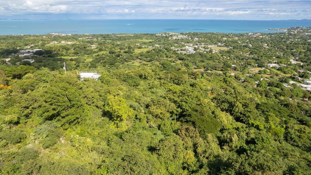 ñ-16 Pr-201, Sector Florida, PR