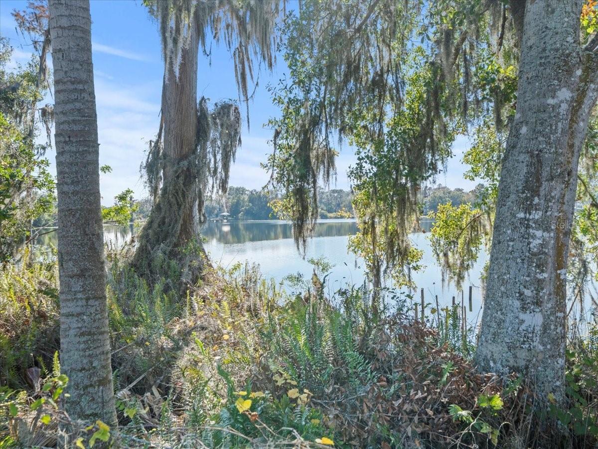 Boy Scout Road, FL