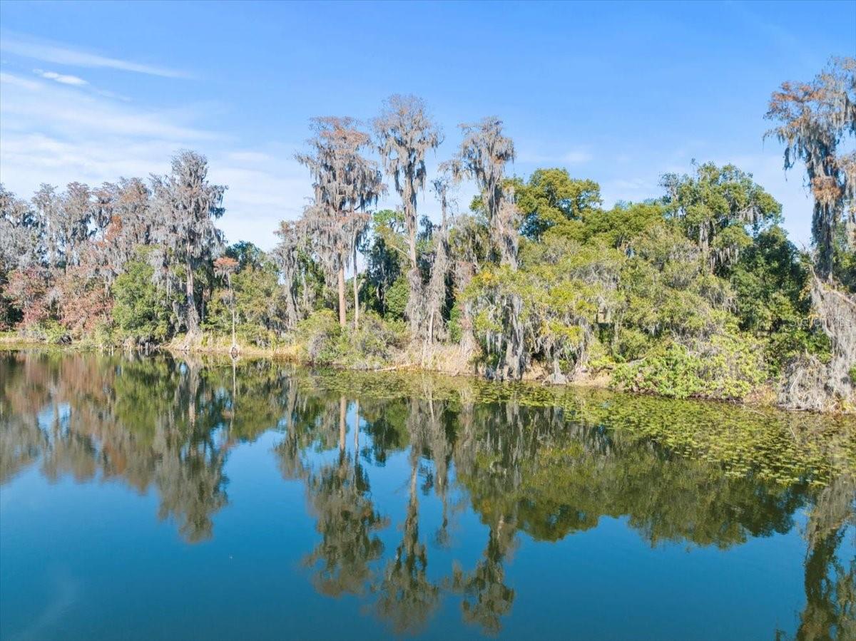 Boy Scout Road, FL