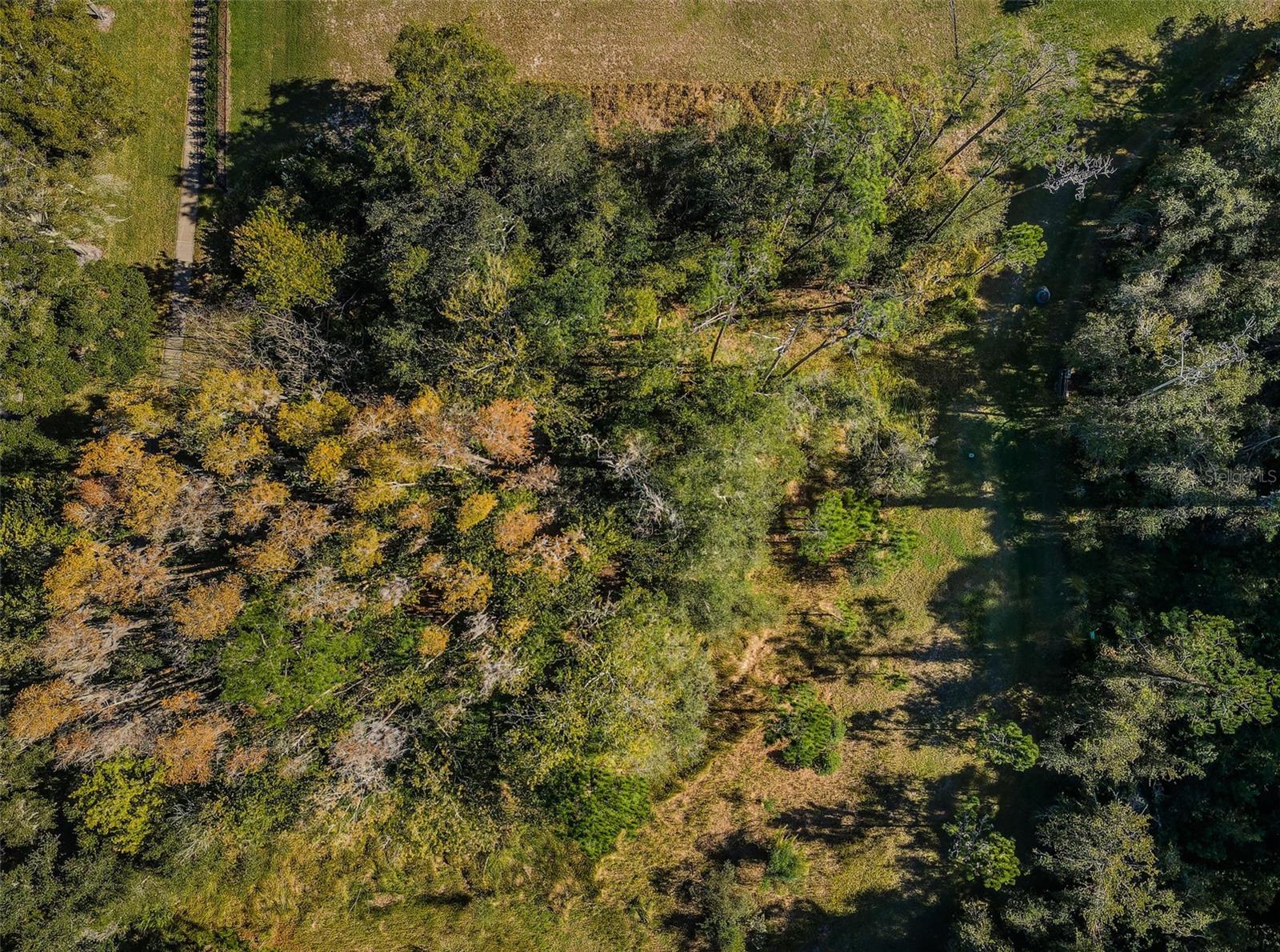 4445 Lansbrook Parkway, FL