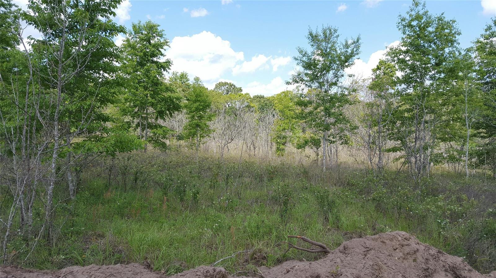 Sw County Road 242a, FL