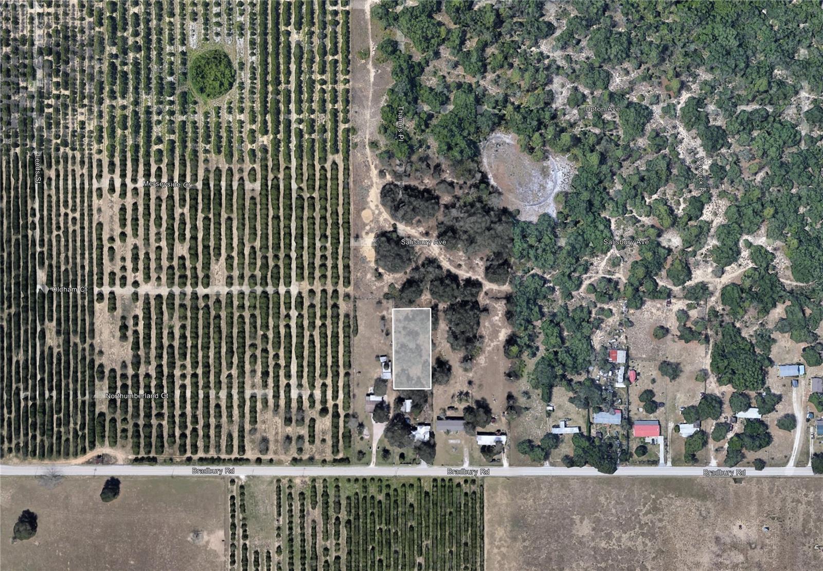 Bradbury Road, FL
