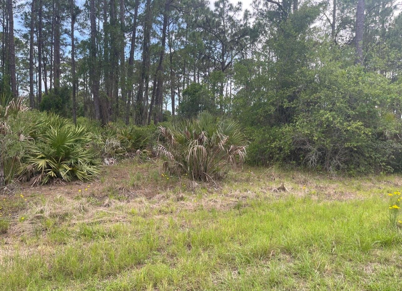 0954126609 Averette Ave, FL