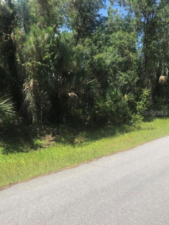 0966054925 Kaskin Ave, FL