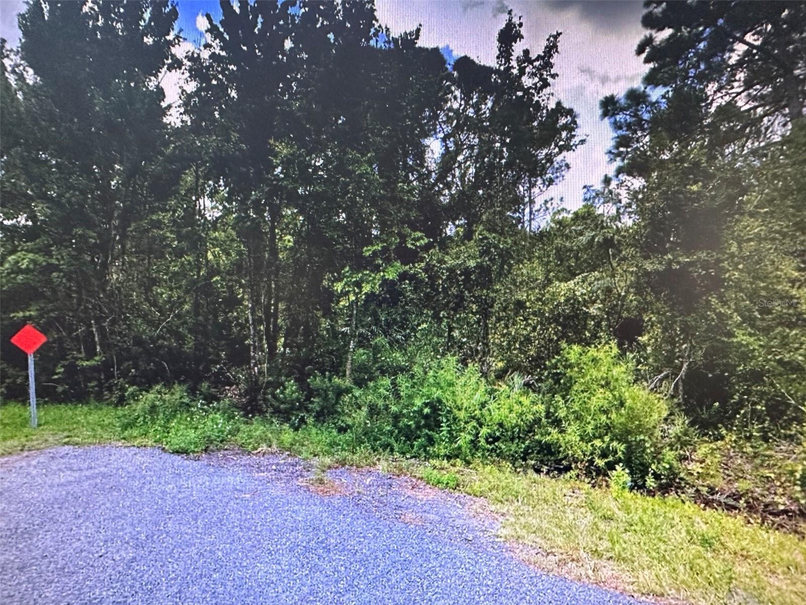 Hines Dr, FL
