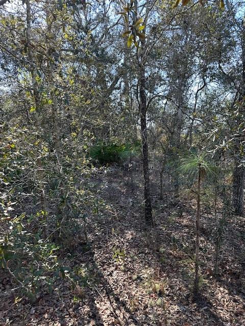 7179 Merrivale Lane, FL