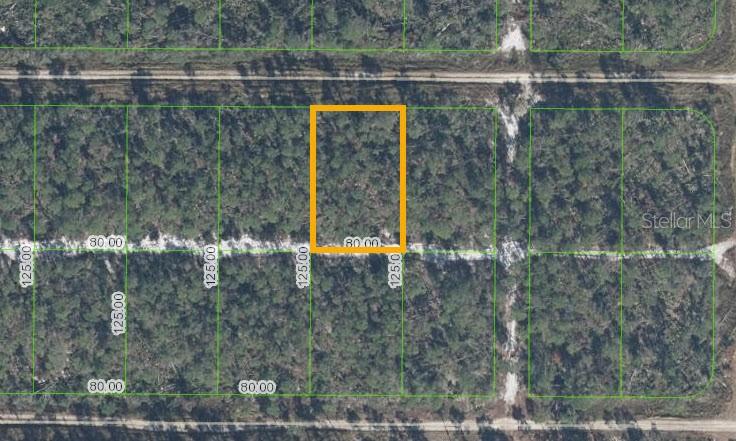 513 Nightingale Avenue, FL