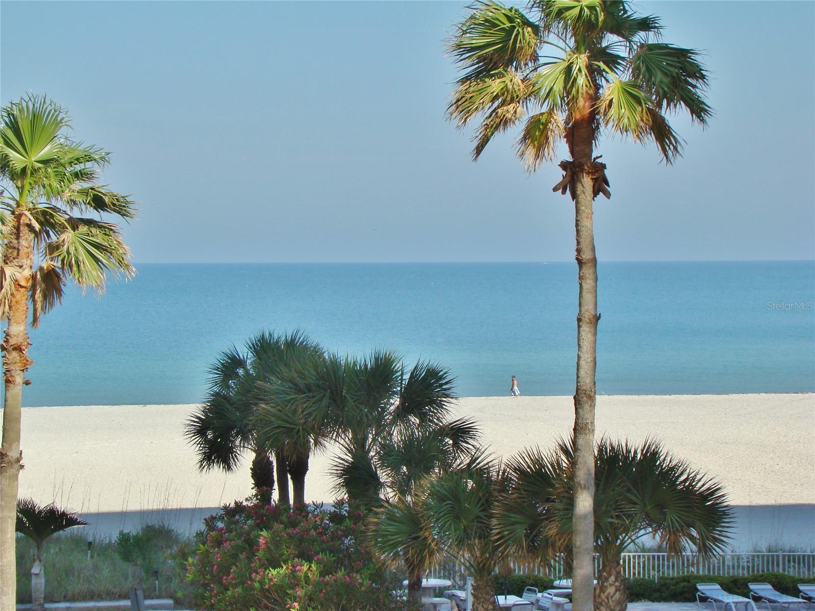 1380 Gulf Boulevard, FL