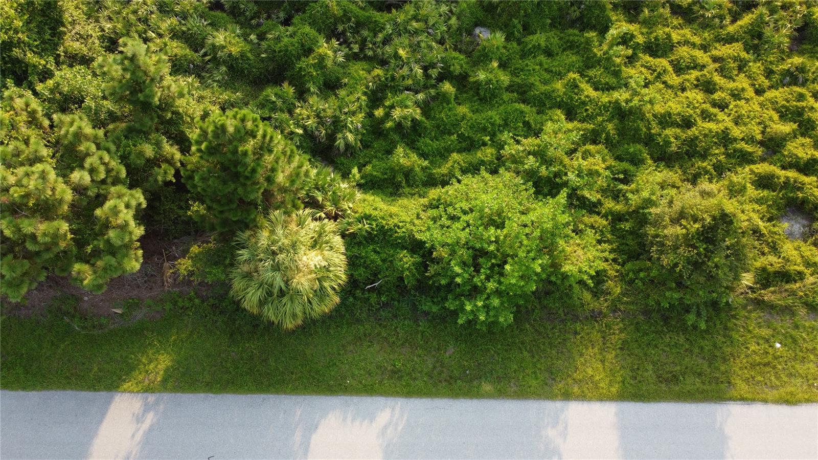 Lot 30 Clovelon Street, FL
