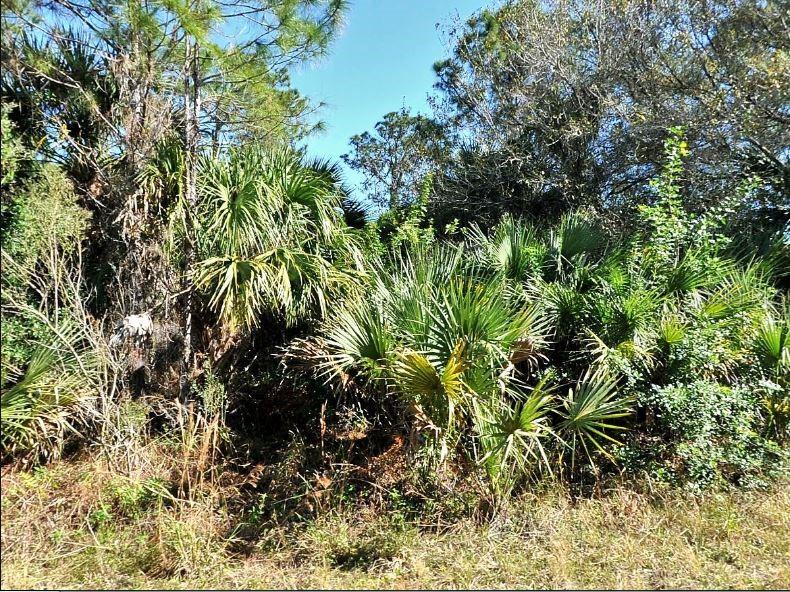 Annatto Street, FL