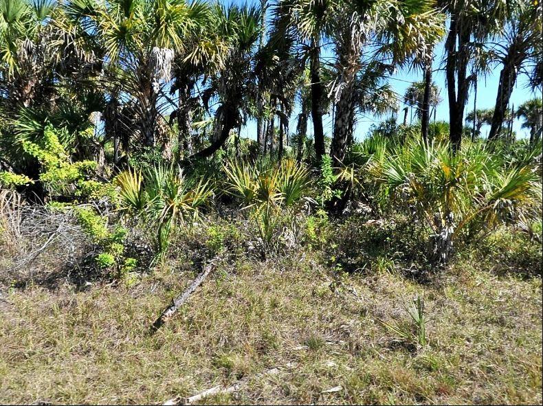 Hiawatha Terrace, FL
