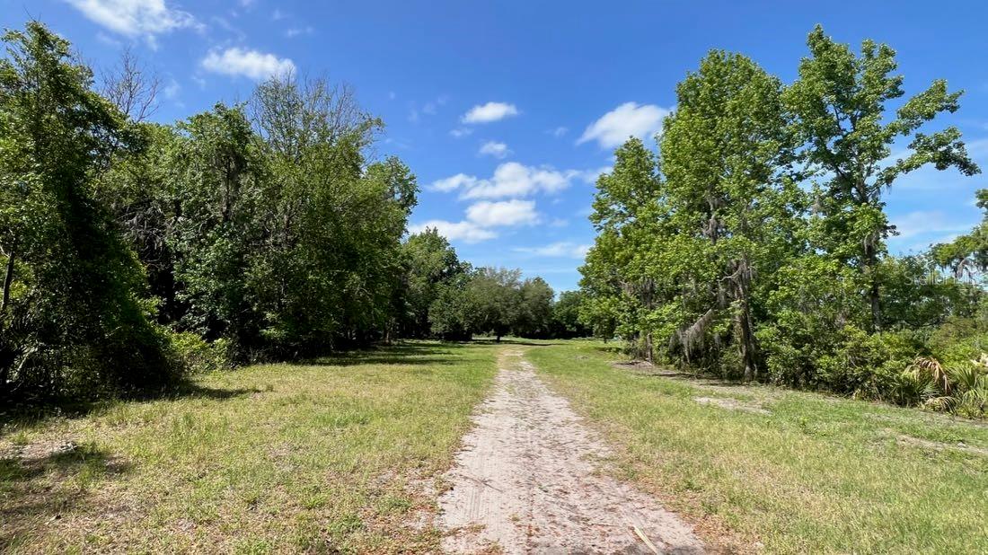 445 Van Arsdale St, FL