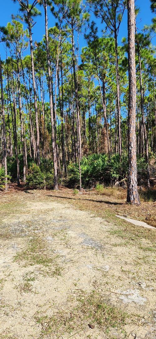 Lot 9 Sw 104 St, FL