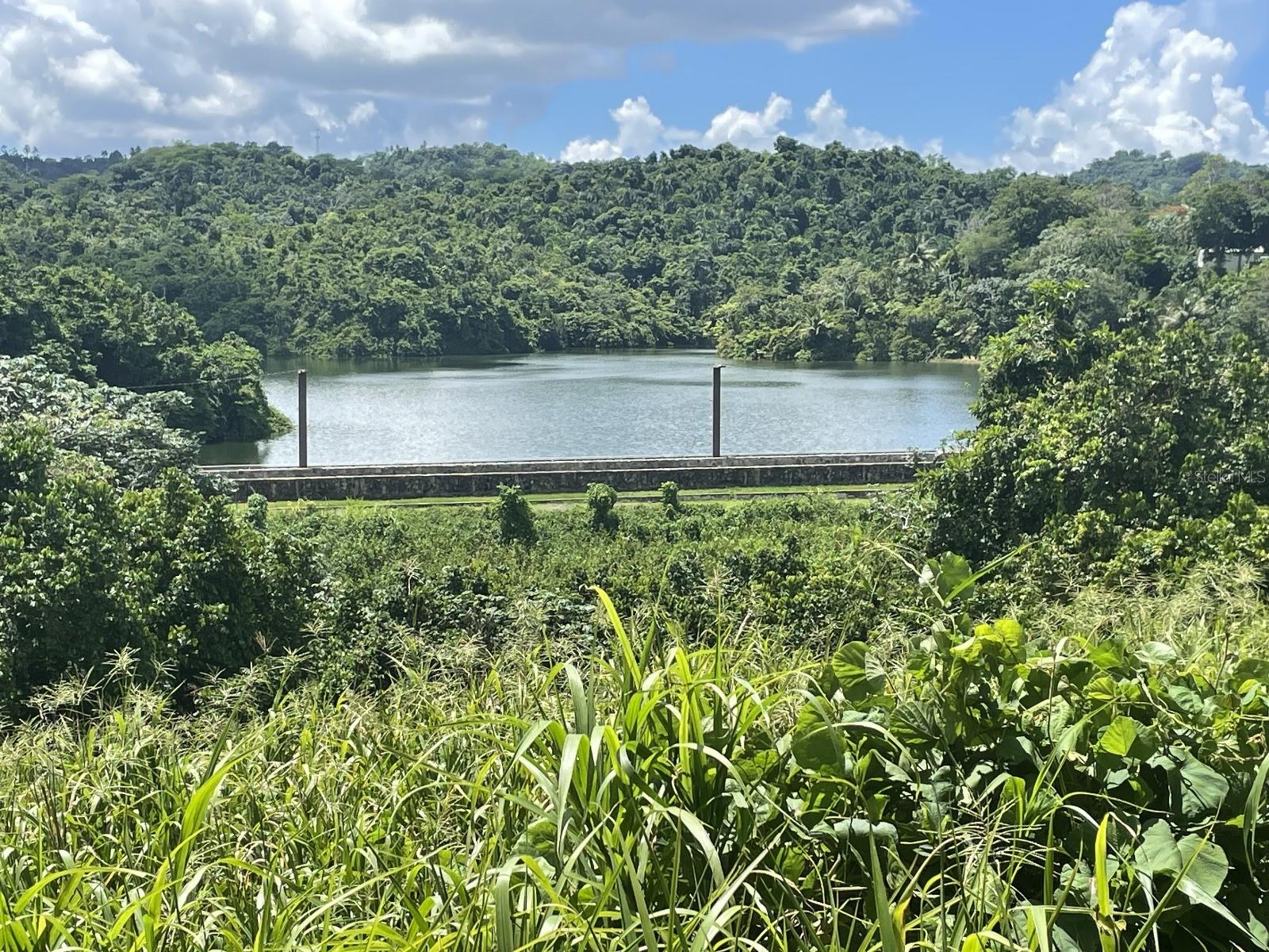 Camino Entrada Al Lago, PR