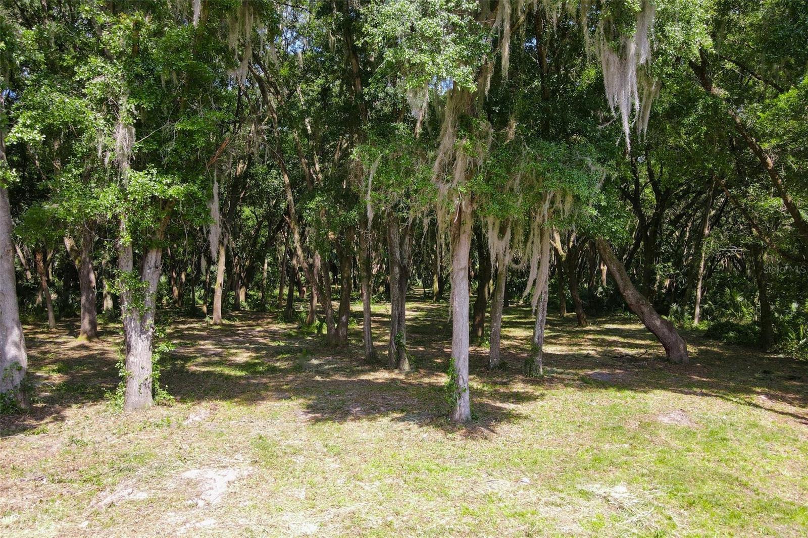 Emeralda Island Road, FL