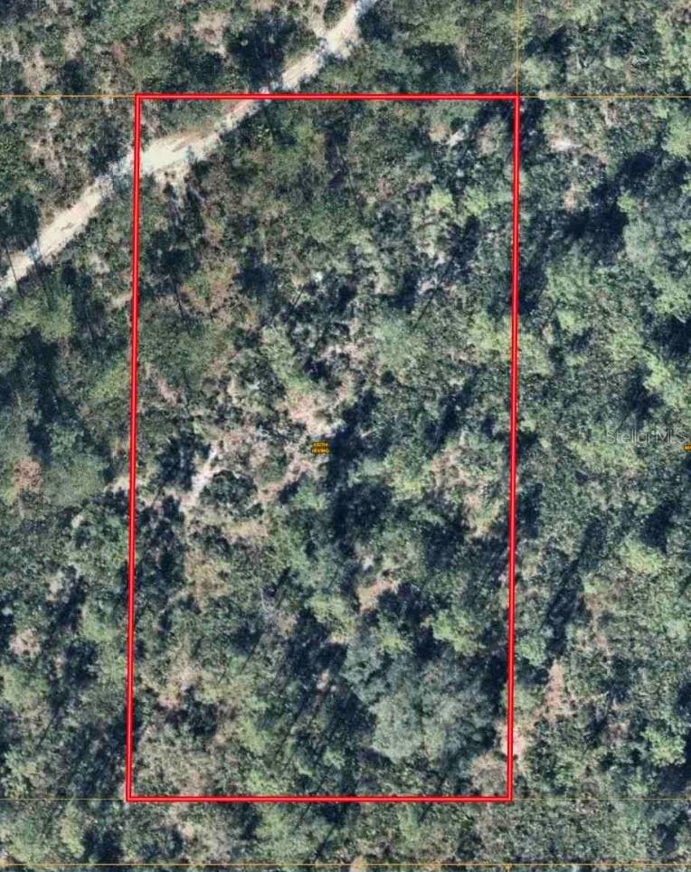 Apopka Vineland Road, FL