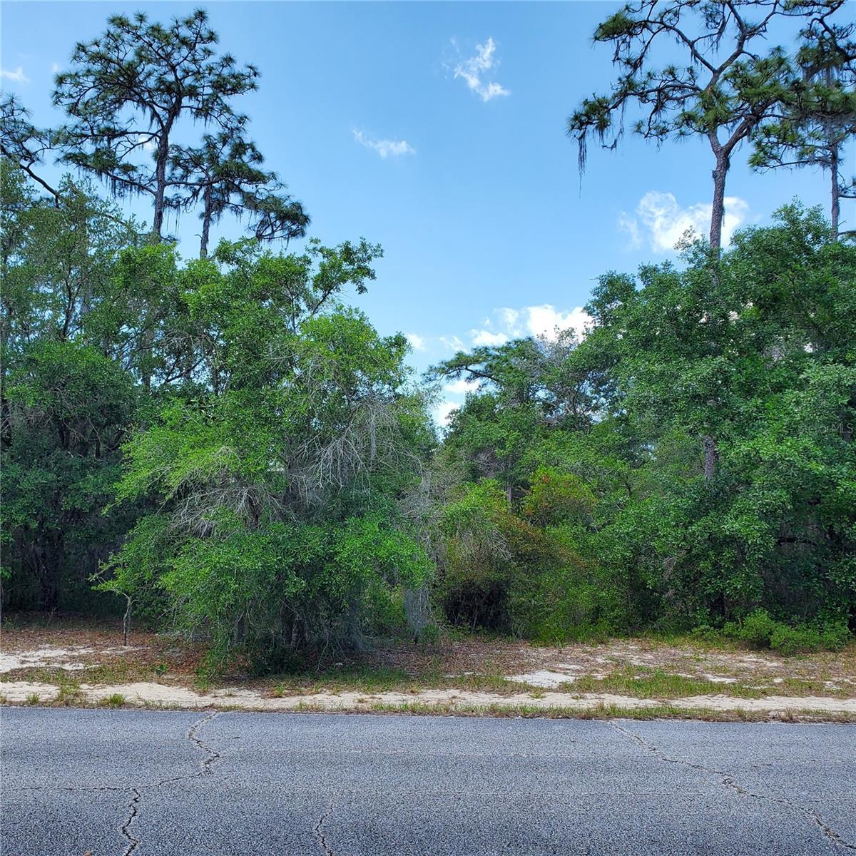 1345 St Augustine Ct, FL