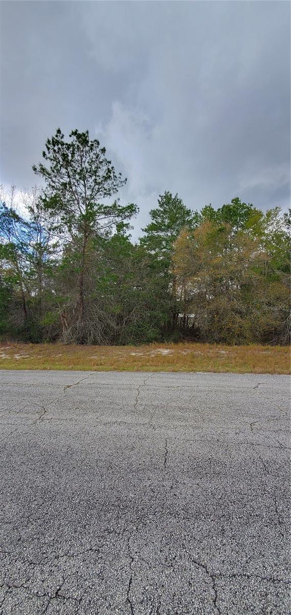 1428 Hillsborough Dr, FL