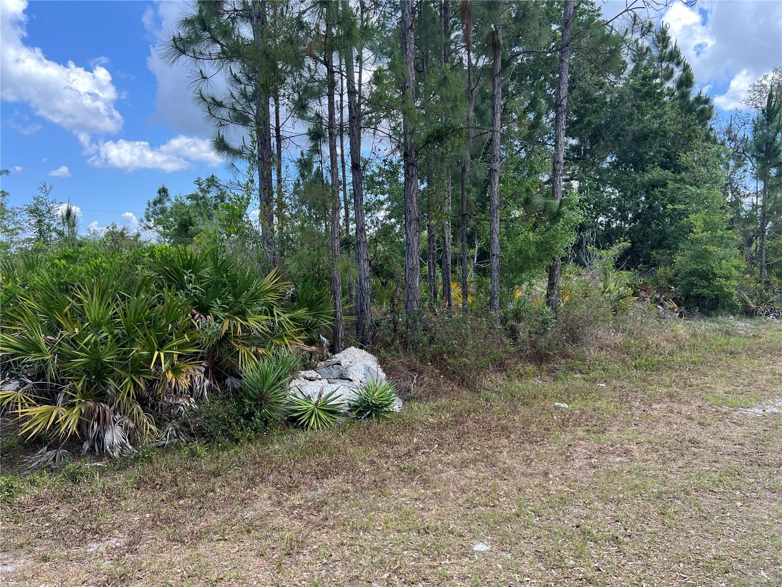 506 Magnolia Dr, FL