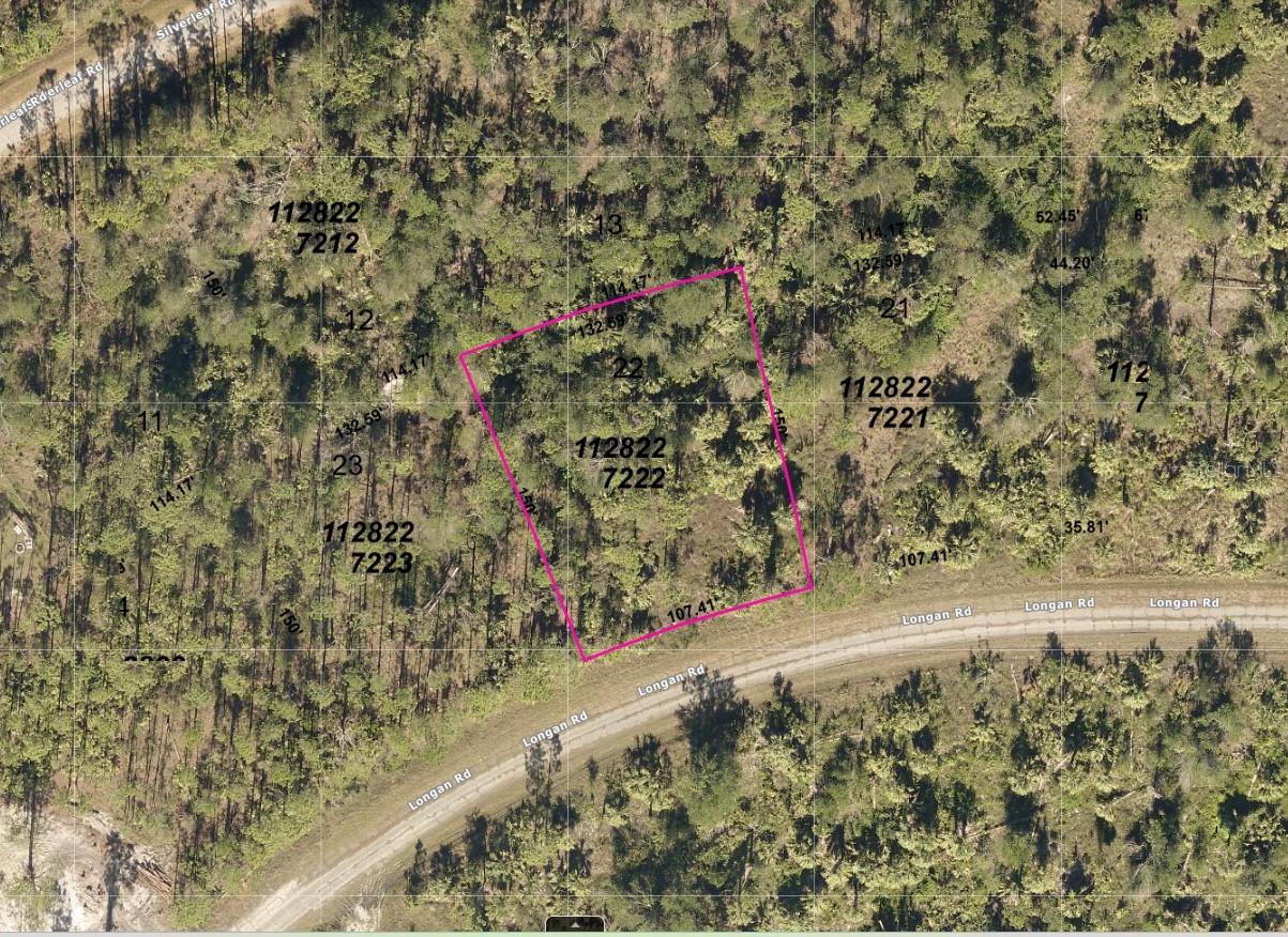 Longan Road, FL