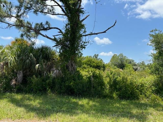2357 Remagen Street, FL
