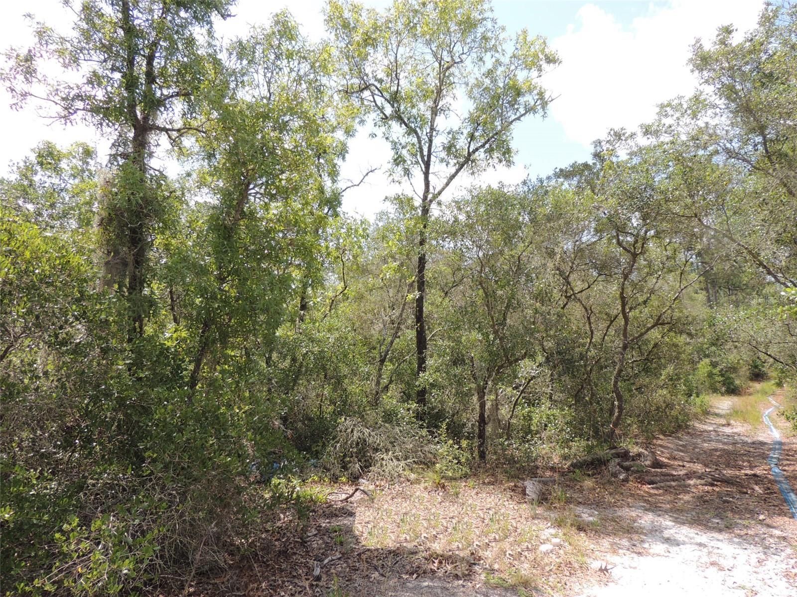 5551 103rd Court, FL