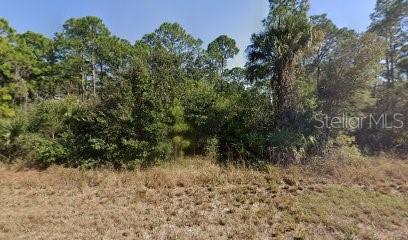 717 Brooklyn Loop, FL