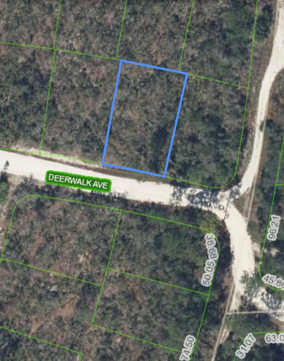284 Deerwalk Ave, FL