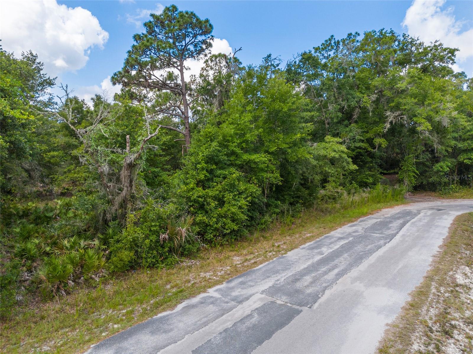 12180 W Olive Tree Ln, FL
