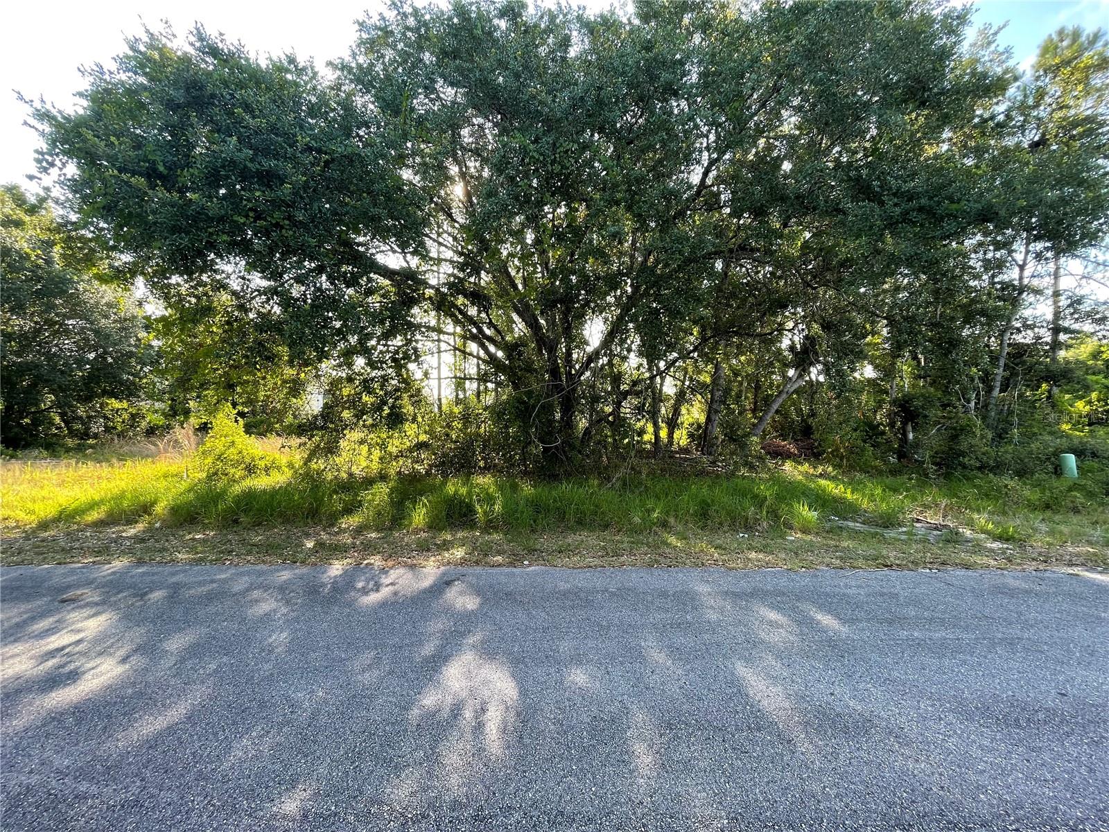 1613 Tench Court, FL