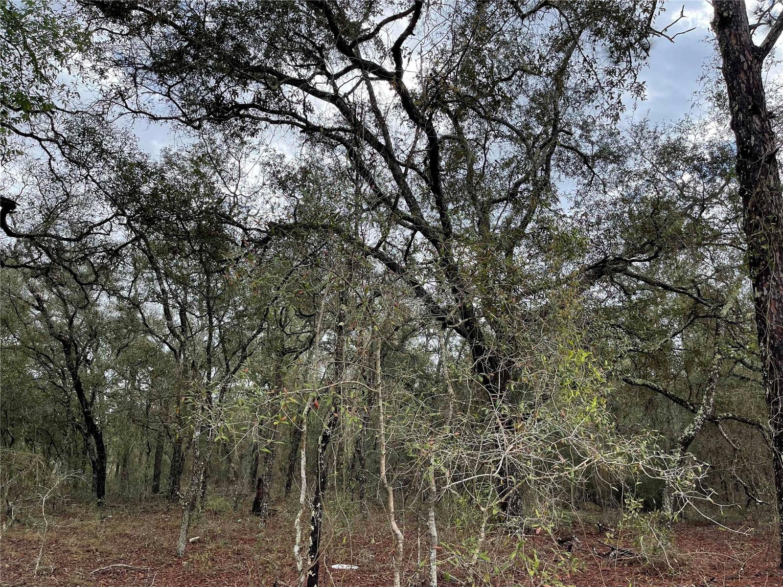 Lot 8 120 Avenue, FL