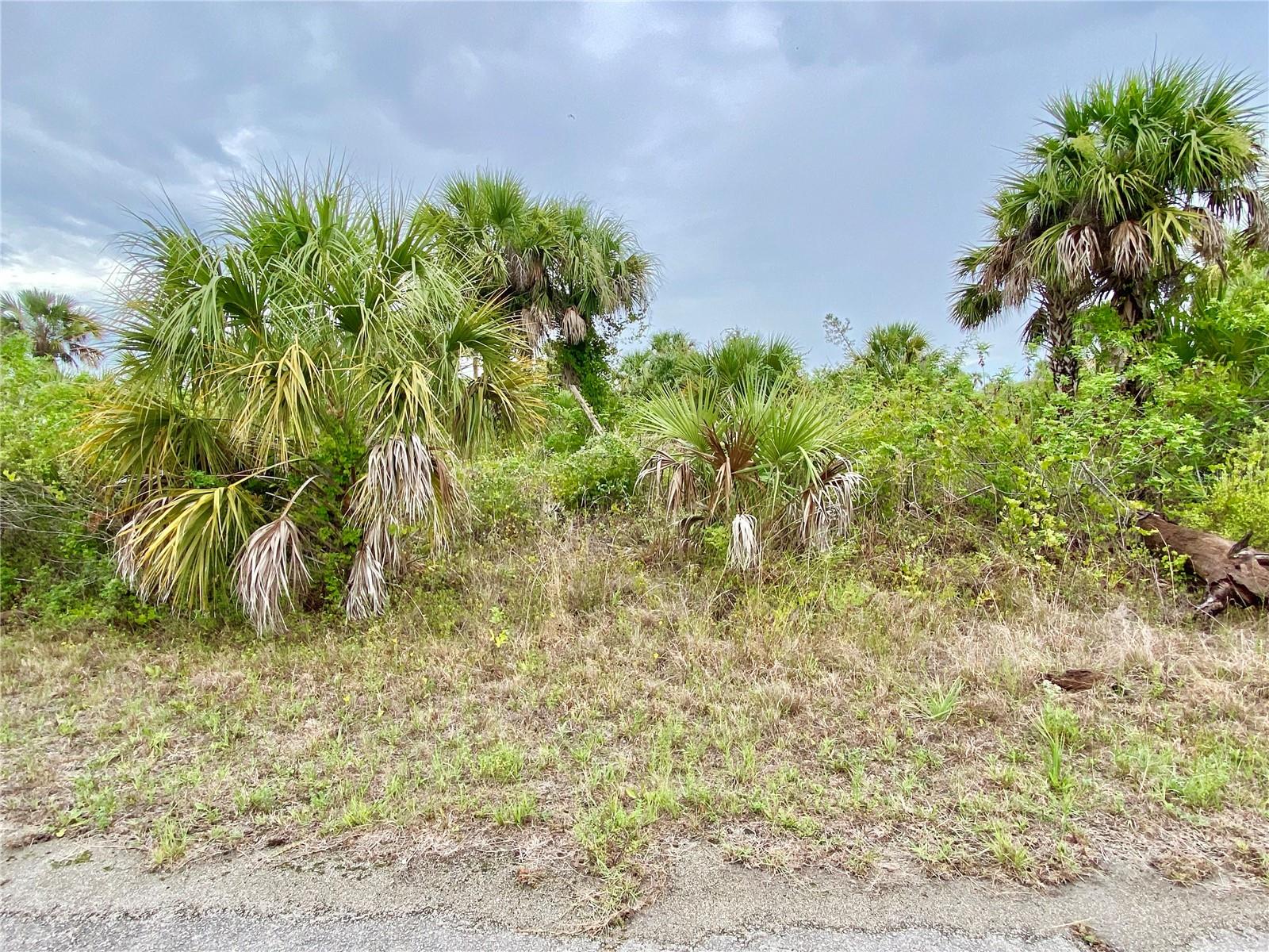 Kimberly Dr, FL