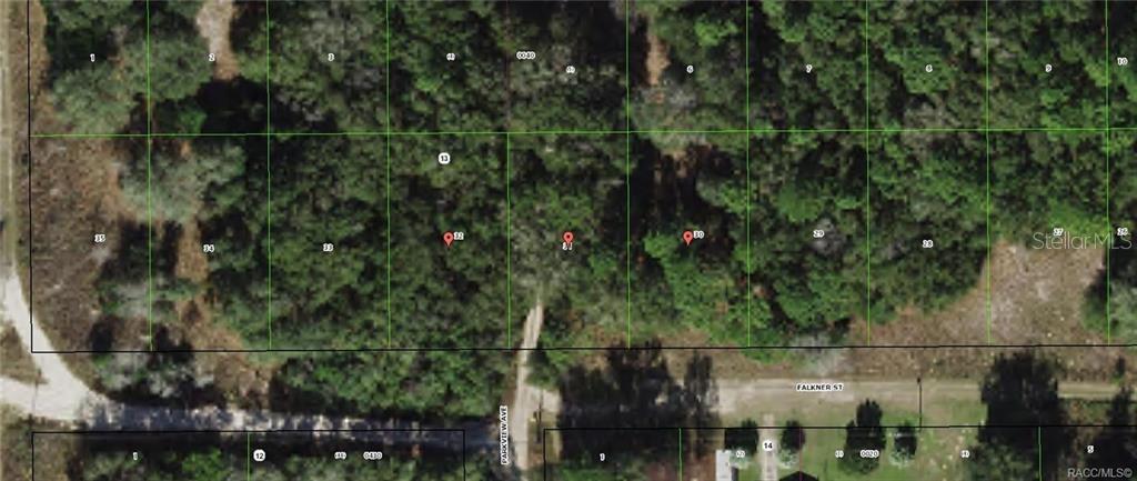 2104,2016,2014 Falkner Street, FL