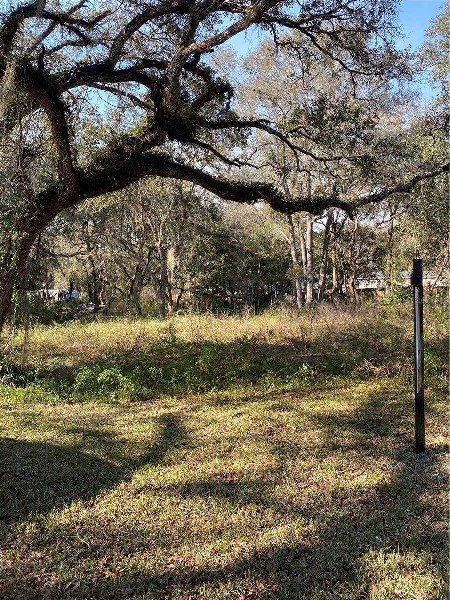 Bushnell, FL