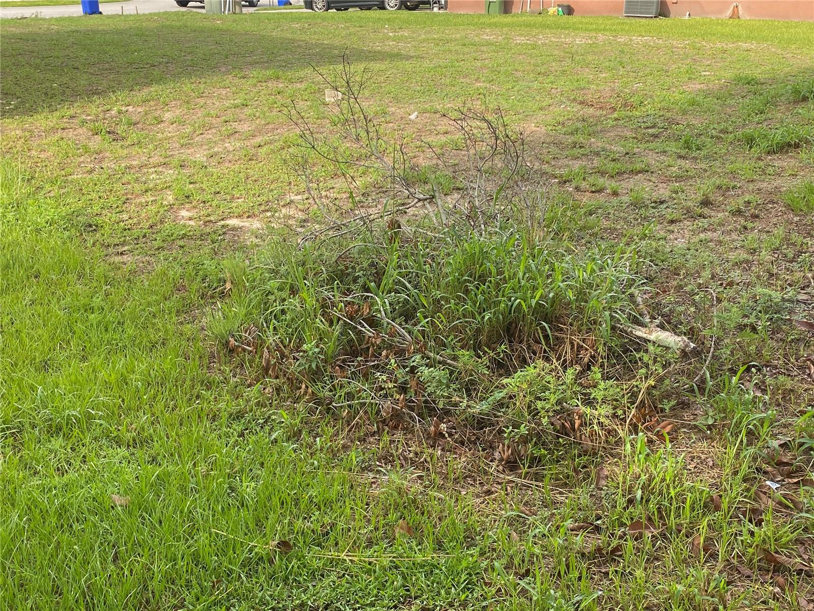 1304 Salisbury Drive, FL