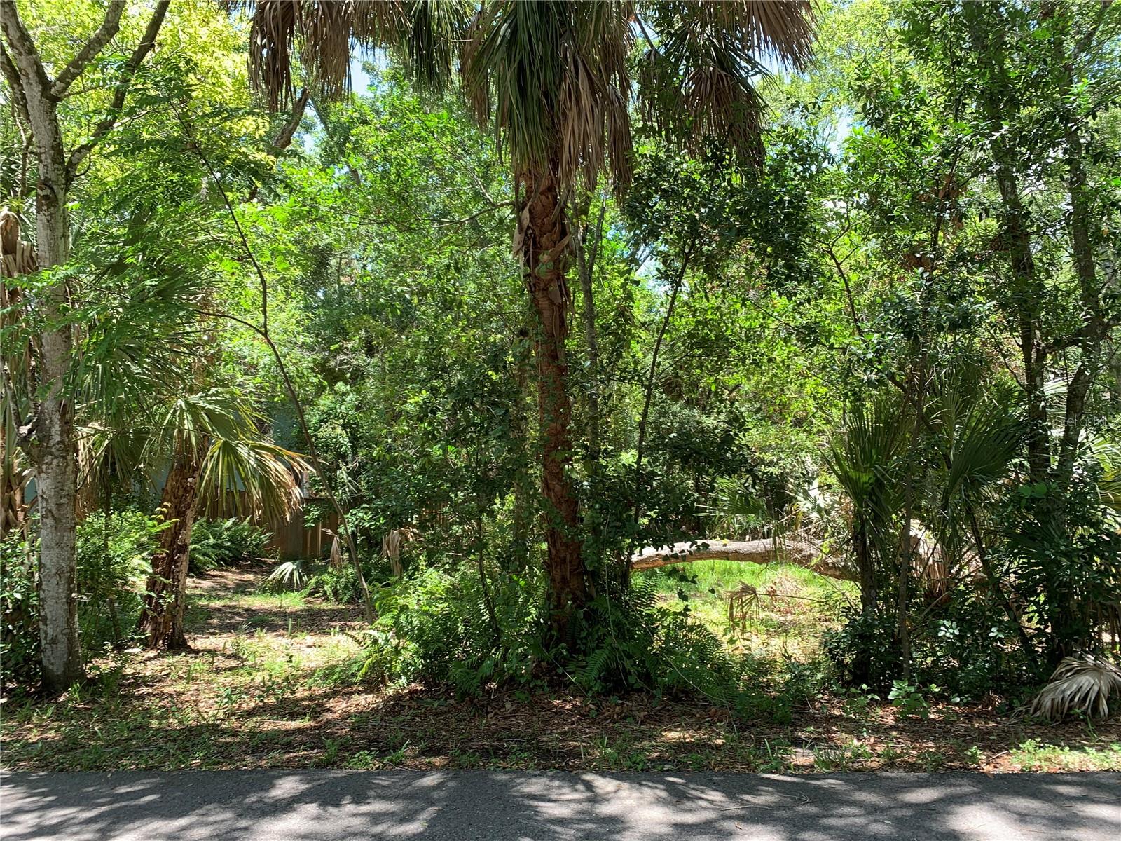 Center Avenue, FL