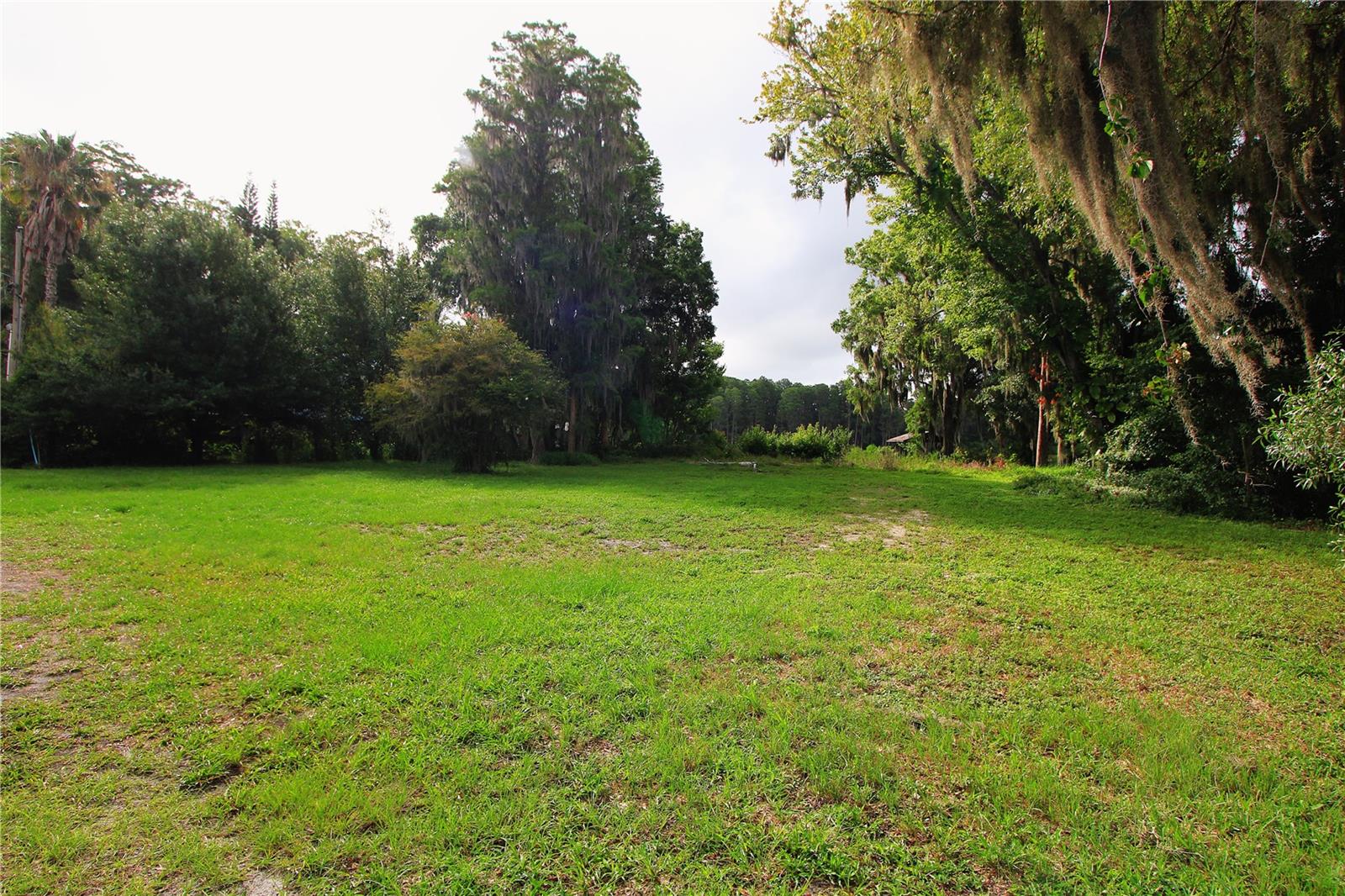13826 Windfall Lane, FL