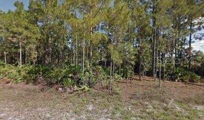461 Lackey Avenue, FL