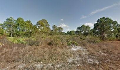 241 Nancy Avenue, FL