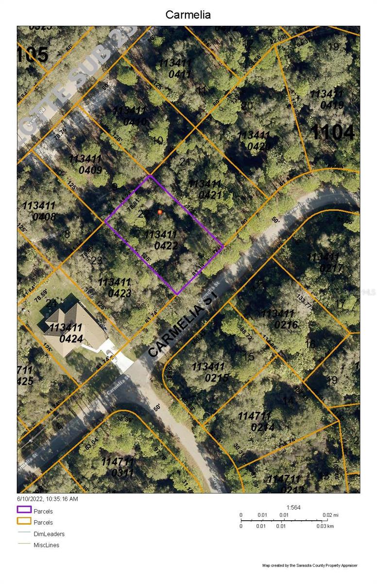 Carmelia Street, FL