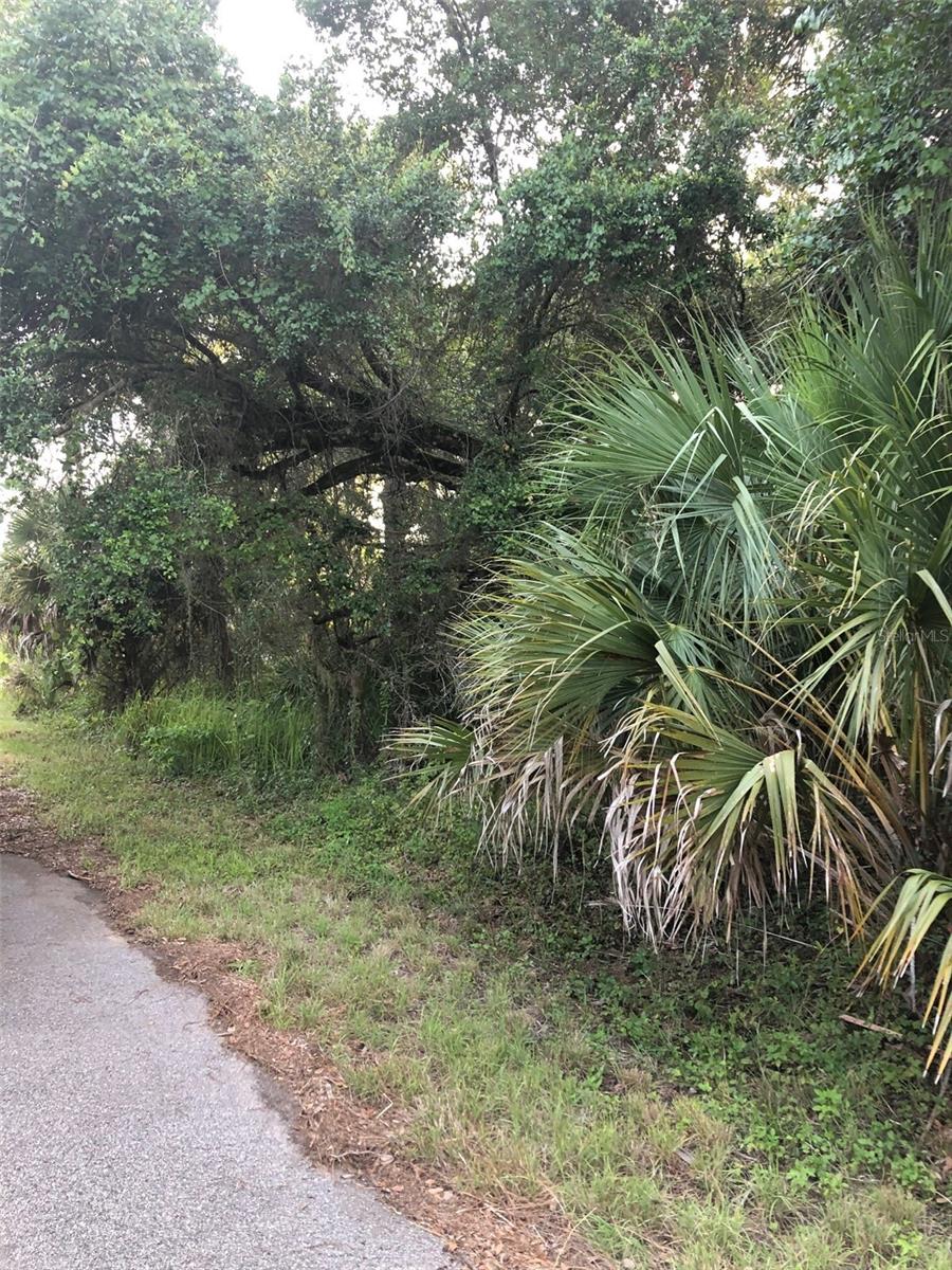 Carmelia Street, FL