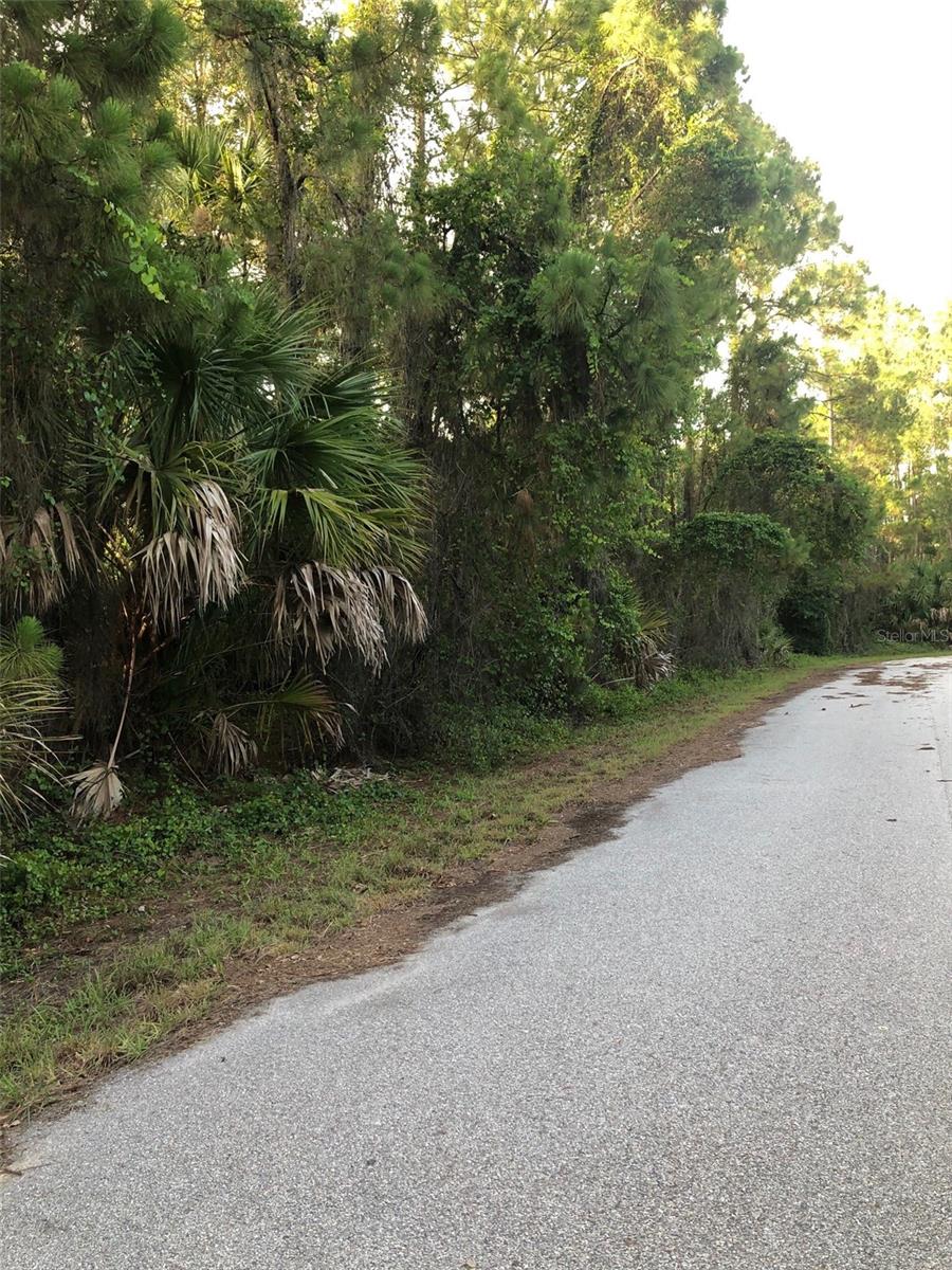 Carmelia Street, FL