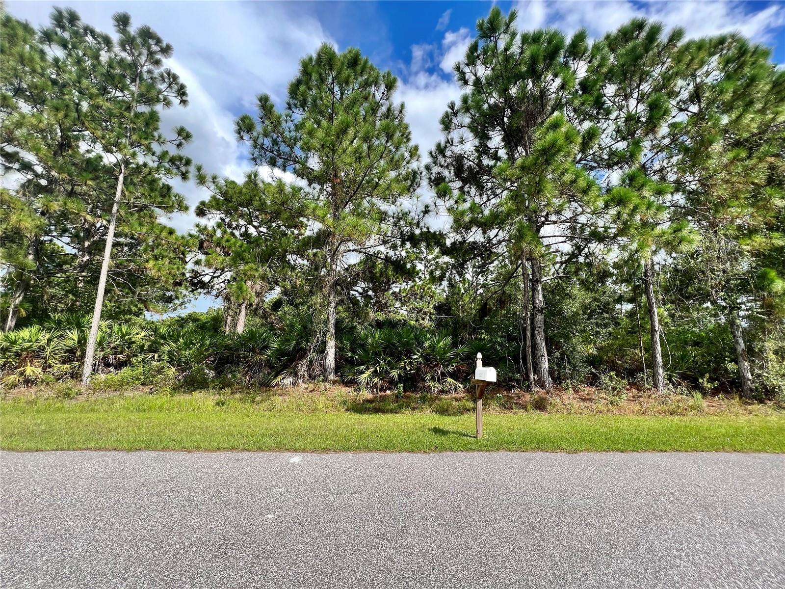 12393 Prudential Avenue, FL