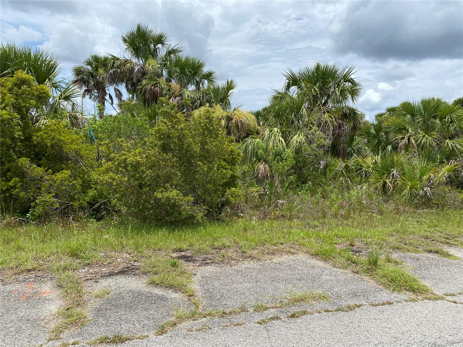 Kimberly Drive, FL