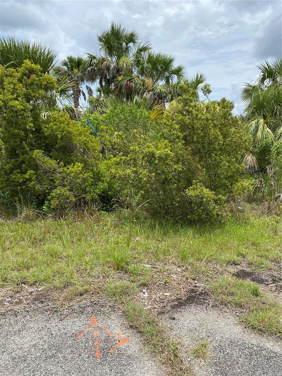 Kimberly Drive, FL