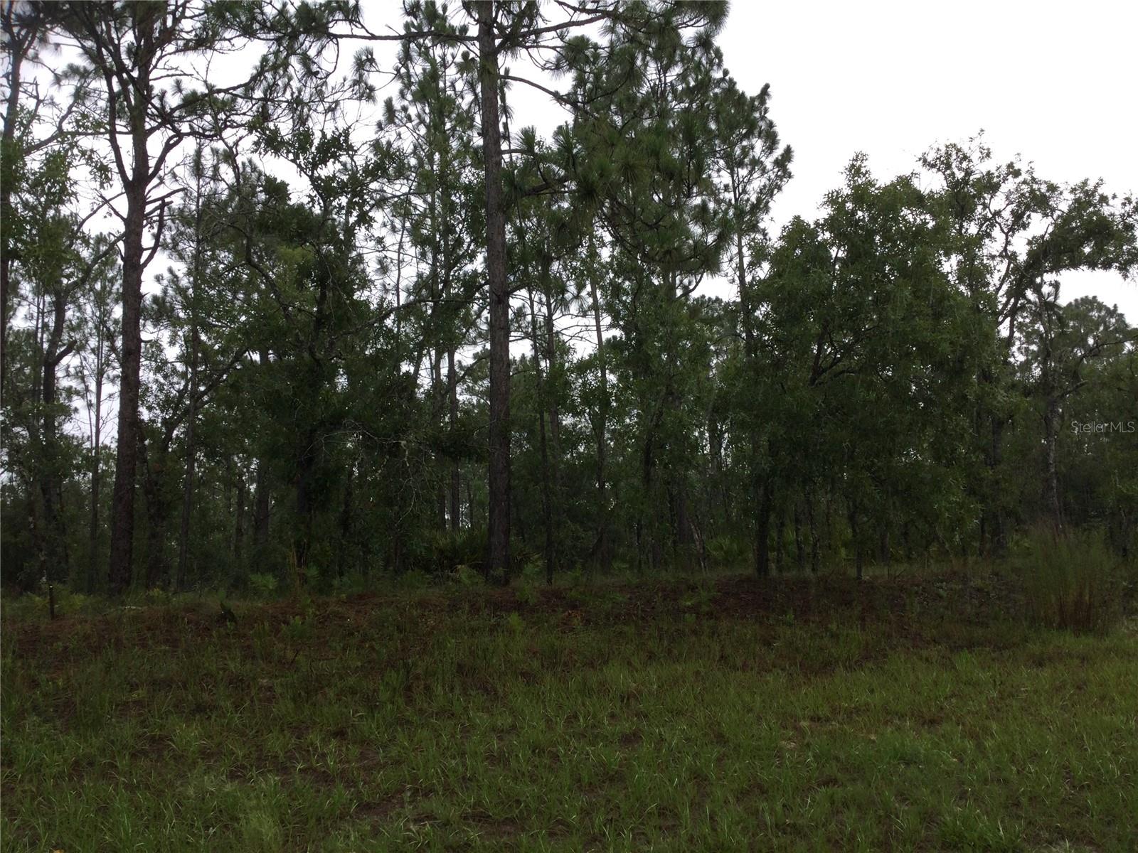 2191 W Citrus Springs Blvd, FL