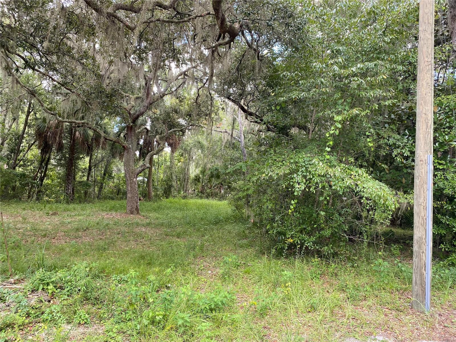 Cr 448c, FL