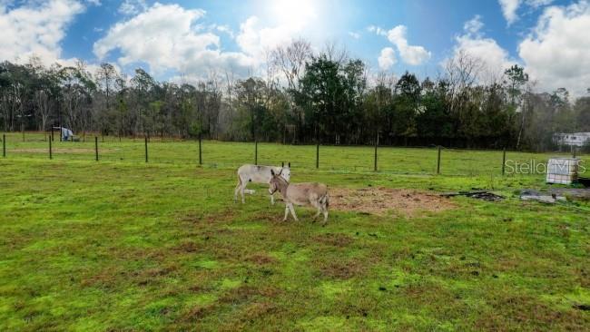1850 Sloans Ridge Road, FL