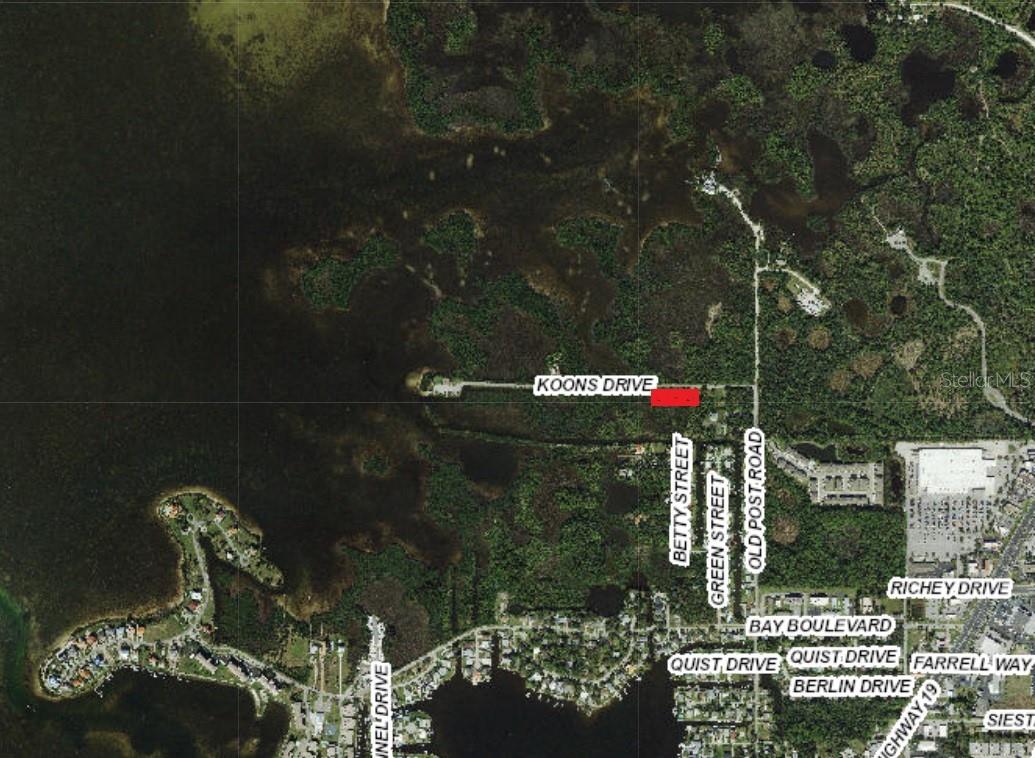 5350 Koons Drive, FL