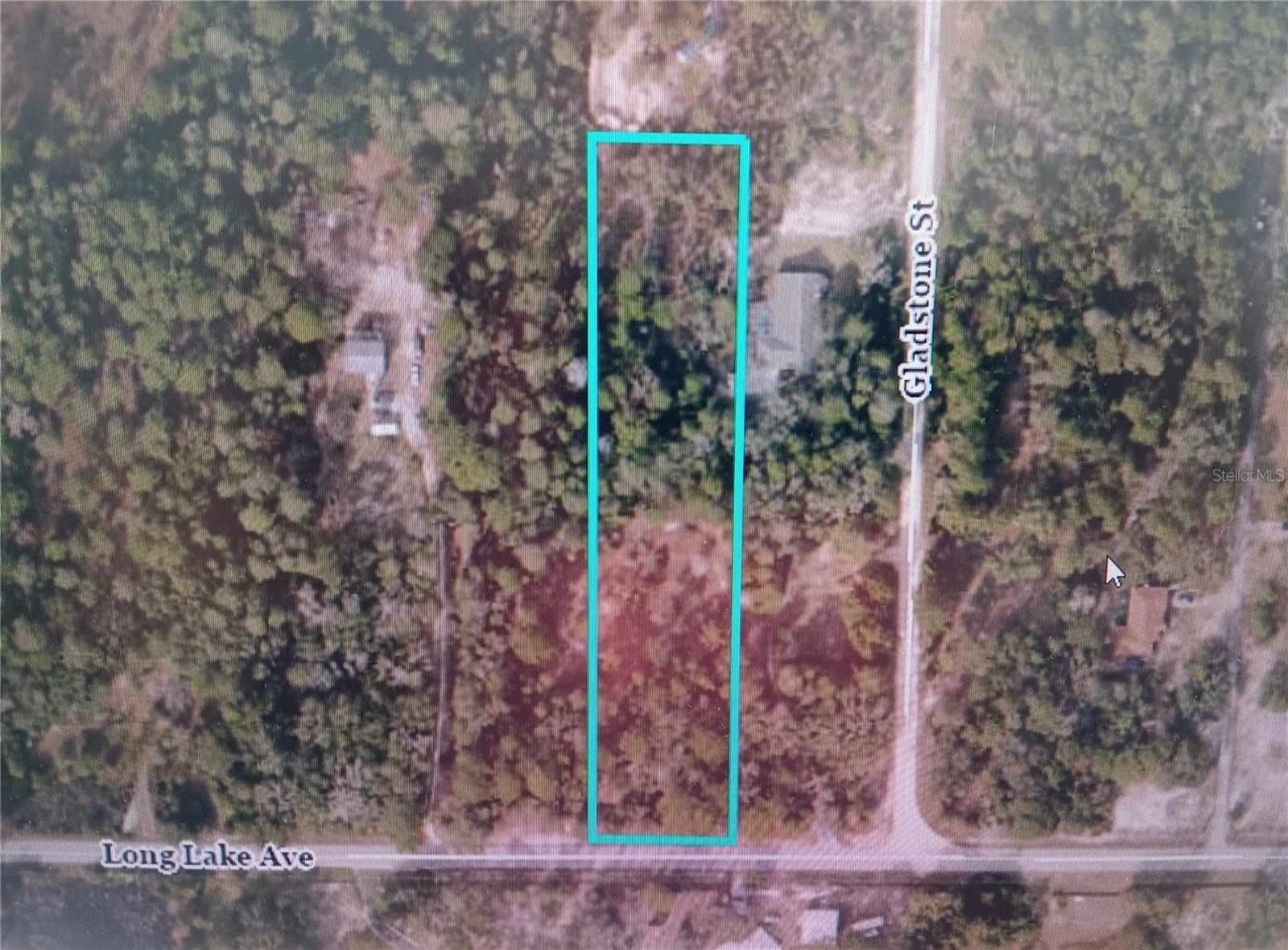 9167 Long Lake Avenue, FL